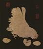 Domestic Chicken