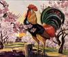 Domestic Chicken - Rooster