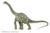 Dinosaur Art