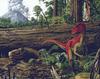 Dinosaur Art