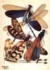 Dragonfly Art