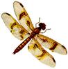 Dragonfly Art