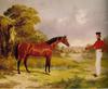 Animal Art : Horse