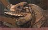 Iguana