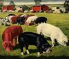 Animal Art : Pigs