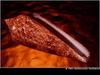 Sea Shell