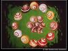 Snails