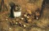 Animal Art : Squirrel