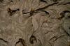 Wasps