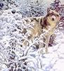 Animal Art : Gray wolf