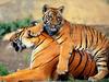 Tigers
