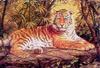 Animal Art : Tiger
