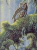Animal Art : Bob Richert - Mist Moss (Owl)