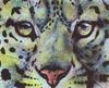 [Animal Art : Eyes] Arthur Wilson - Appetite (Snow leopard)