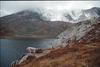 Rocky Mountain Goat (Summit Lake)