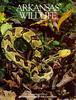 Arkansas Wildlife Summer 1998 - Timber Rattlesnake