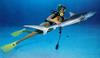 Diver girl with shark
