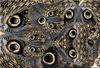Butterfly  wings composite