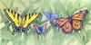 [Animal Art] Todd Telander - Butterflies In The Grass