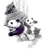 [Animal Art] Giant Panda  (Ailuropoda melanoleuca)