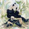 [Animal Art] Tim Pinkston - Giant Panda  (Ailuropoda melanoleuca)