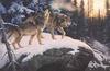 [Animal Art] Gray Wolves (Canis lufus)