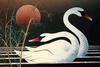 [Animal Clipart] Mute Swan (Cygnus olor)  pair
