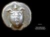 Turtle shaped coin -Greece Aigean Turtle