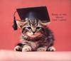 Kitten - Cat's Meow 1991 Calendar