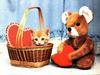 Ouriel - Chat - Kitten in basket