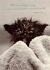 Kitten wet