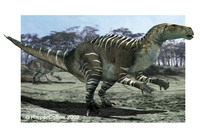 Iguanodon