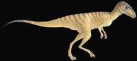 Herrerasaurus