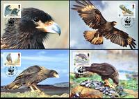 Falkland Islands Striated Caracara Set of 4 official Maxicards