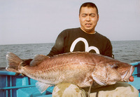 Niphon spinosus, Ara: fisheries