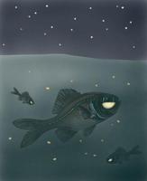 Image of: Anomalops