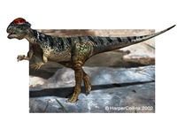 Stegoceras