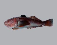 민통구멍