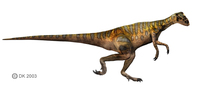 Eoraptor