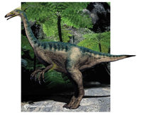 Alxasaurus