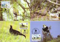 Azerbaijan Caucasian Black Grouse Set of 4 official Maxicards