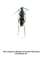 넉줄꽃하늘소 - Leptura ochraceofasciata