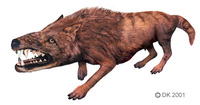 Andrewsarchus