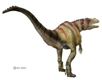 Ceratosaurus