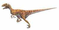 Deinonychus