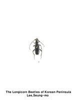 붉은어깨검은산꽃하늘소 - Anastrangalia rufihumeralis