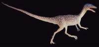 Compsognathus