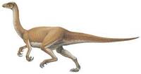 Segnosaurus