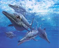 Ichthyosaurus