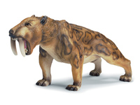 Smilodon